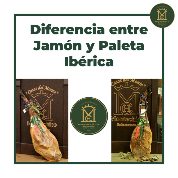 Diferencia entre Jamón y Paleta Ibérica
